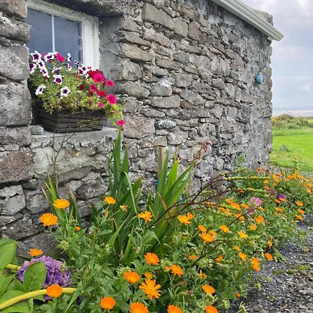 Glor Na D'tonnta Glamping Campervan Campo de lujo Easkey