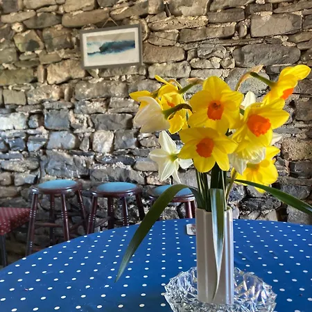 Campo de lujo Glor Na D'tonnta Glamping Campervan *